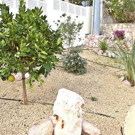 فيلة Maryvilla 1220 *