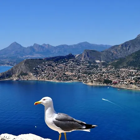 Maryvilla 1220 فيلة كاليبي