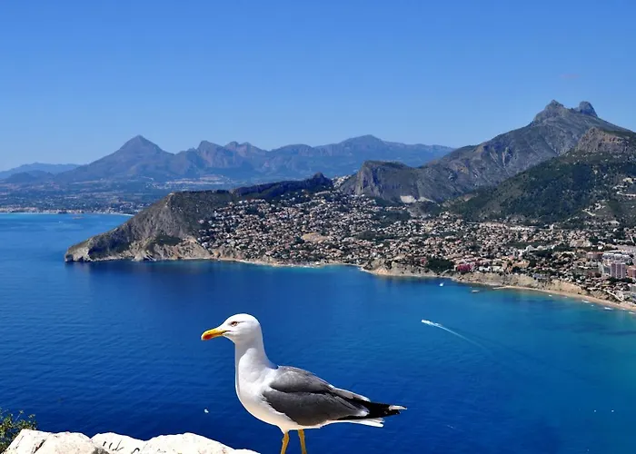 Maryvilla 1220 别墅 卡尔佩